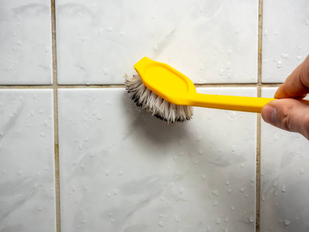 Best Professional Mold Removal  in Lexington, WA