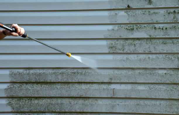 Best Mold Inspection  in Lexington, WA