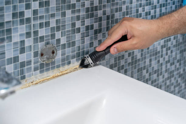 Best Attic Mold Removal  in Lexington, WA